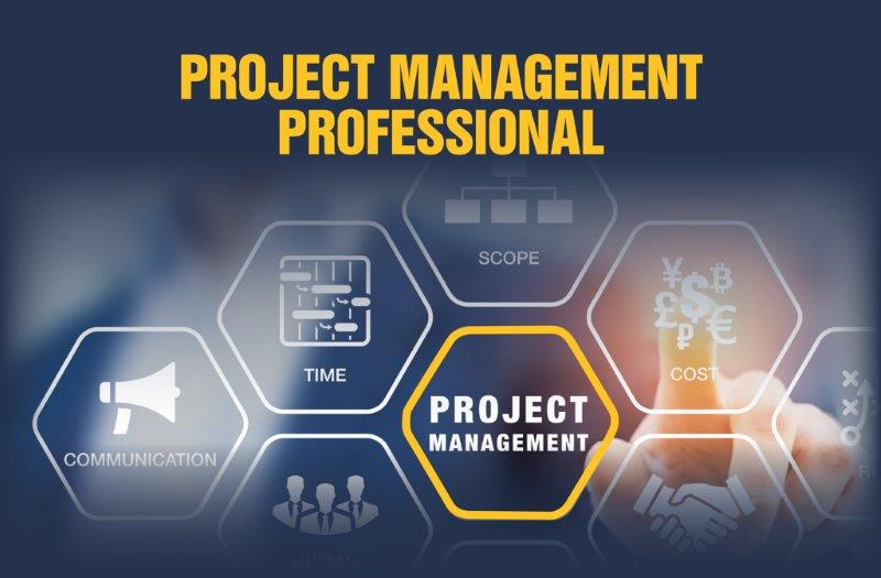 Project Management Professional (PMP)
